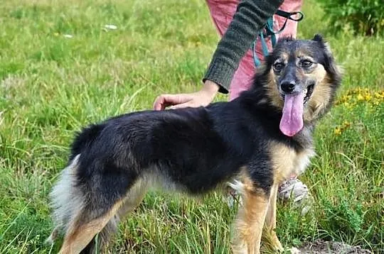 Megan i Neska - od urodzenia, od 8 lat razem w jed