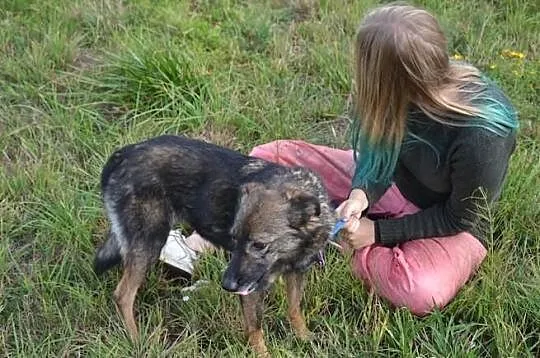 Megan i Neska - od urodzenia, od 8 lat razem w jed
