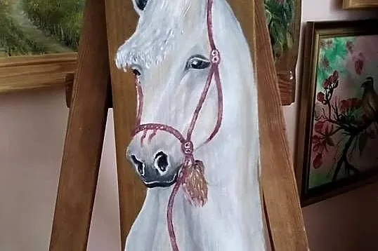 Konie na  starych deskach ., Lubelskie, Osmolice Pierwsze