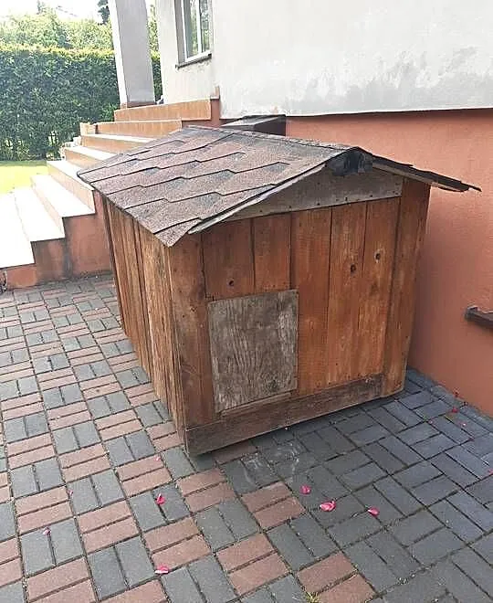 buda dla psa, Śląskie, Sosnowiec