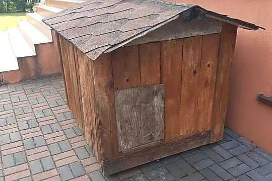 buda dla psa, Śląskie, Sosnowiec