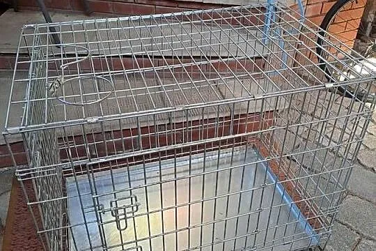 Klatka bezpieczeństwa dla pieska