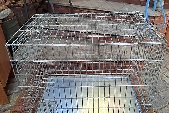 Klatka bezpieczeństwa dla pieska, Dolnośląskie, Głogów