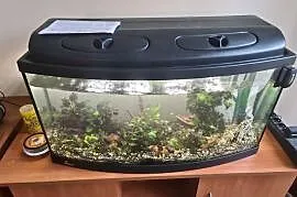 Akwarium 120l z filtrem zew I akcesoriami