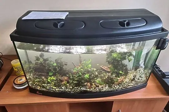 Akwarium 120l z filtrem zew I akcesoriami