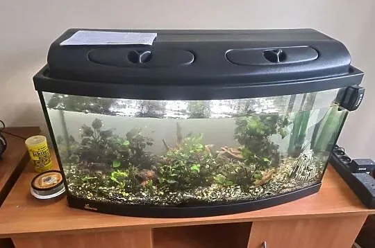 Akwarium 120l z filtrem zew I akcesoriami, Mazowieckie, Warszawa