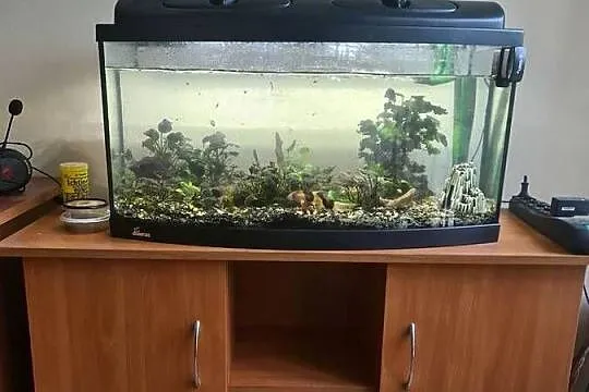 Akwarium 120l z filtrem zew I akcesoriami, Mazowieckie, Warszawa