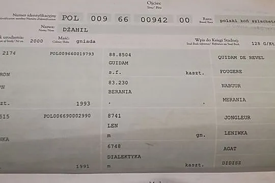 Klacz hodowlana, , 