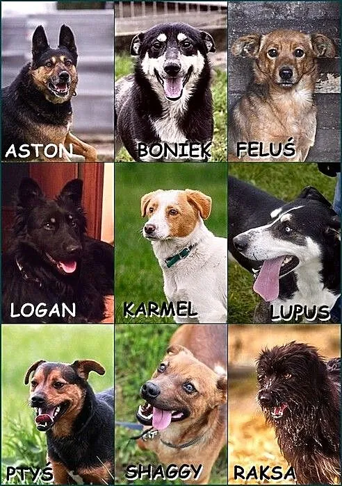 Znajdź portret swojego przyjaciela :)