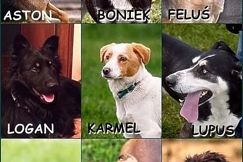 Znajdź portret swojego przyjaciela :)