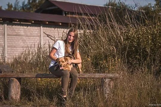 Rabu-łagodny, mały i młody pies!, Częstochowa