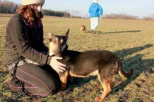 Gryzelda piesek chcący cieszyć się życiem marzy o 