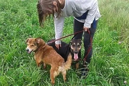 Gryzelda piesek chcący cieszyć się życiem marzy o 