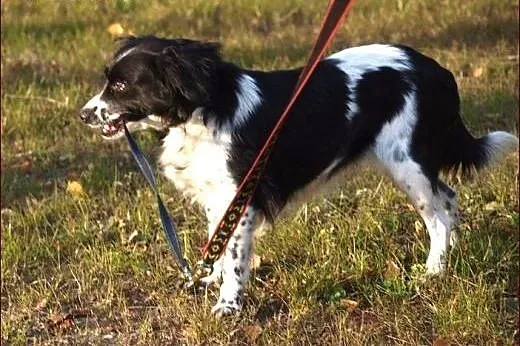 Meza czeka na wyjątkowych ludzi...,  warmińsko-maz