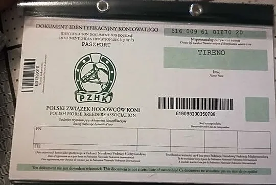 Sprzedam rocznego odsadka ogierka, , 