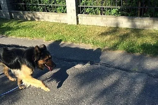 Jestem grzeczny i kochany, nie pozwól mi dalej żyć
