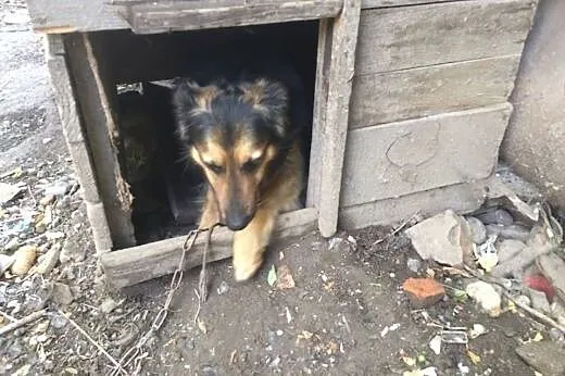 Jestem grzeczny i kochany, nie pozwól mi dalej żyć