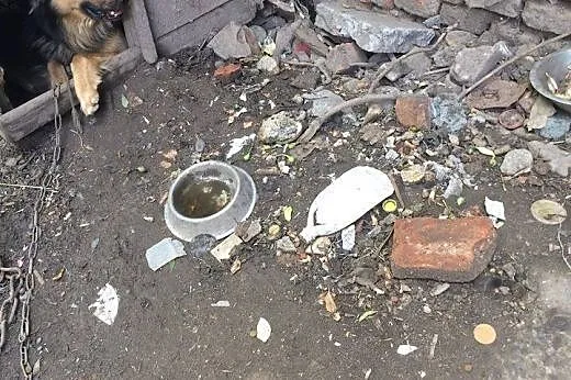 Jestem grzeczny i kochany, nie pozwól mi dalej żyć