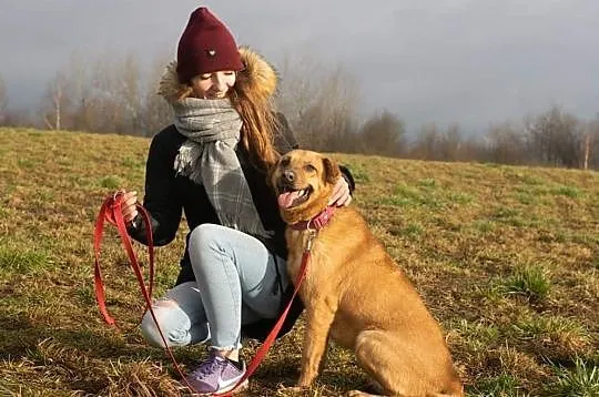 CZIKA cudowna kochana sunia marzy o domku gdzie zazna szczęścia i miłości
