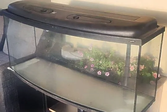 Akwarium 200l