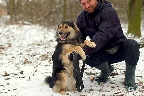 Kalmo do adopcji -ma czas do końca marca,  Kundelk