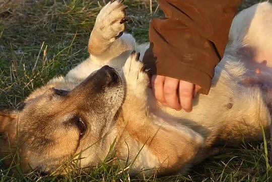 Atrakcyjna niezwykle przyjacielska i bardzo ładna 