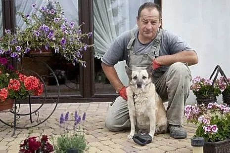 Cudna biszkoptowa damulka do zakochania :),  łódzk