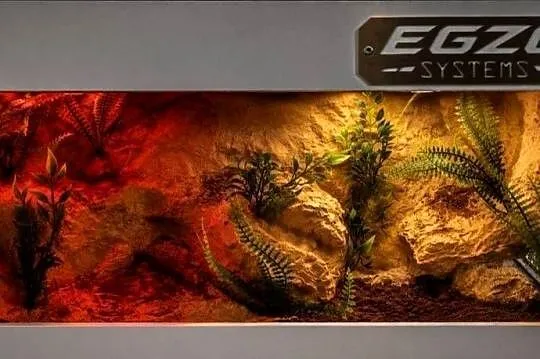 Terrarium hodowlane dla żółwia greckiego agamy brodatej