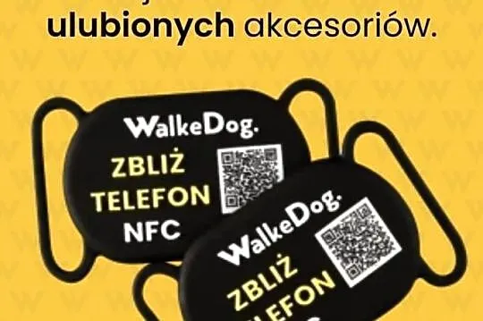 Psi Dowód - WalkeDog - Pomóż swojemu psu i kotu wrócić do domu, Śląskie, Jaworzno