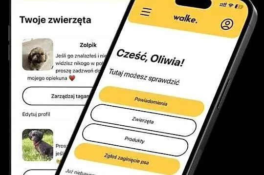 Psi Dowód - WalkeDog - Pomóż swojemu psu i kotu wrócić do domu, Śląskie, Jaworzno