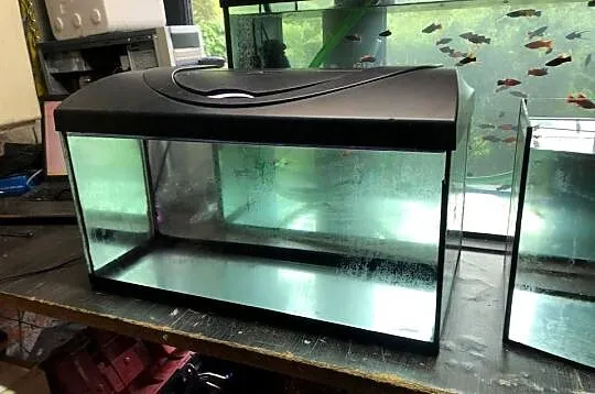 Akwarium 60 x 30 x 30 Diversa