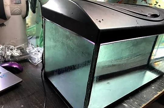 Akwarium 60 x 30 x 30 Diversa, Łódzkie, Justynów