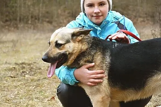Natka - wilczurka w schroniski, podlaskie Białystok
