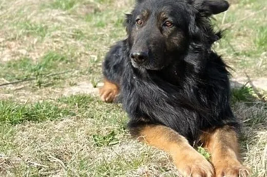 Niezwykły Charlie,  małopolskie Kraków