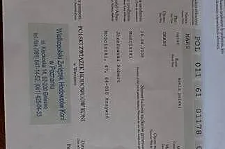 Ogier konik polski z licencją, Dolnośląskie, Sieroszowice