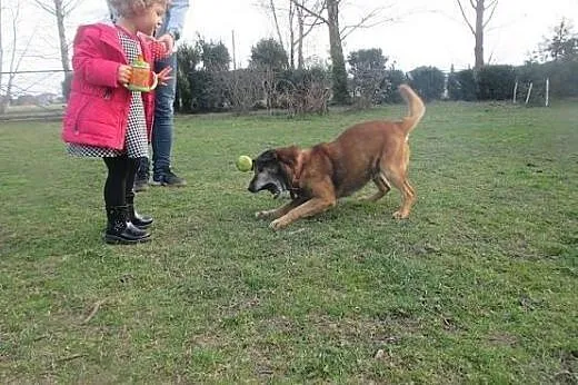 Kocha aportować i kocha być kochanym :),  śląskie 