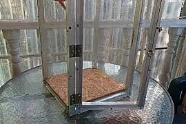 Małe terrarium dla gada