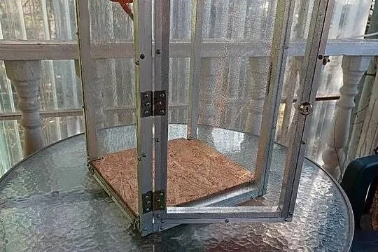 Małe terrarium dla gada, Lubelskie, Rejowiec Fabryczny