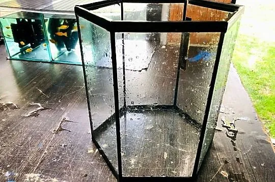 Akwarium 26 x 31 cm, Łódzkie, Justynów