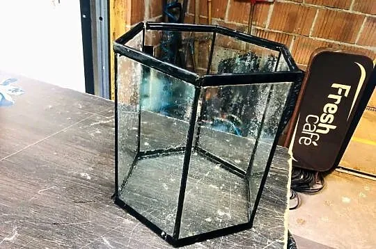 Akwarium 26 x 31 cm, Łódzkie, Justynów