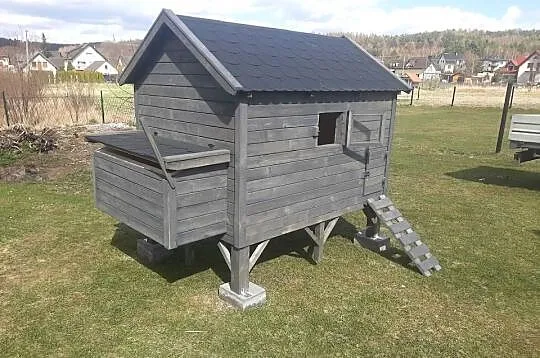 Kurnik dla kur