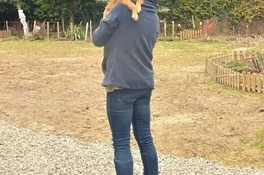 Mała młoda sunia FIFI 7 kg szuka domu!,  mazowieck
