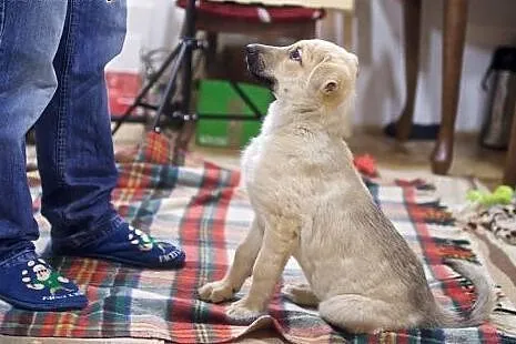 Z nią nie poznasz co to nuda, Mizia sprawi w domu 