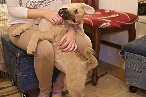 Z nią nie poznasz co to nuda, Mizia sprawi w domu 