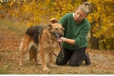 Korba.Jak można nie mieć serca?,  kujawsko-pomorsk