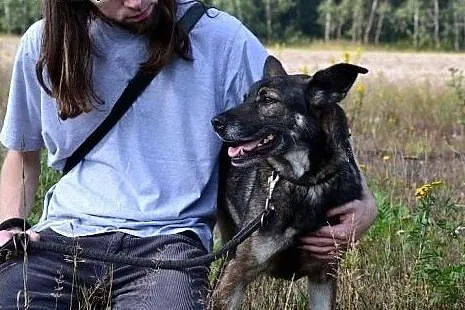 Pomóż Soni - uratowana z pijackiej dziupli czeka n