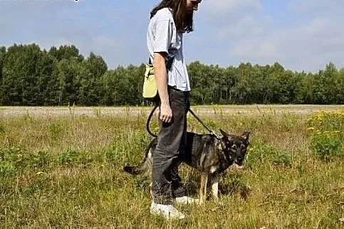 Pomóż Soni - uratowana z pijackiej dziupli czeka n