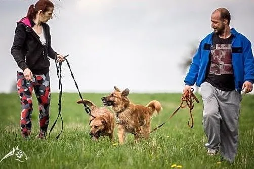 MARIO - chłopak jak ta lala, proszę Pani i Pana :)