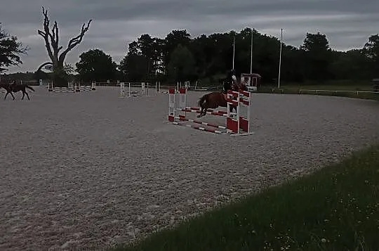 Wypożyczę pod jazdy, Wielkopolskie, Śrem