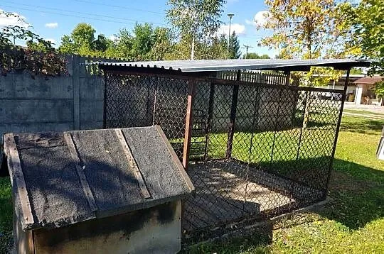 Kojec, buda dla psa, Mazowieckie, Garwolin